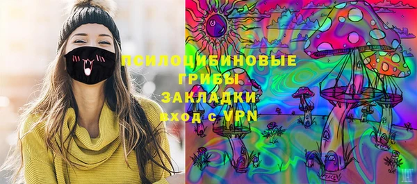 spice Алзамай