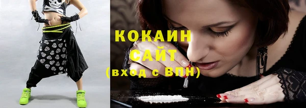 соль ск Алексин