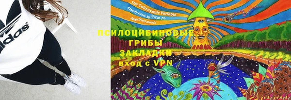 круглые Алексеевка