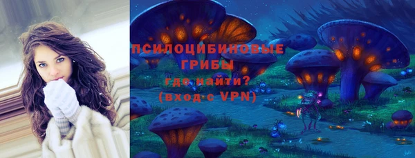 круглые Алексеевка